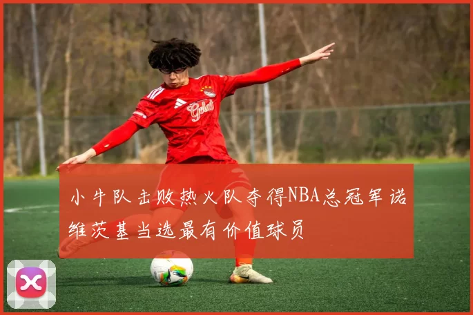 小牛队击败热火队夺得NBA总冠军诺维茨基当选最有价值球员