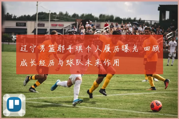 辽宁男篮鄢手琪个人履历曝光 回顾成长经历与球队未来作用