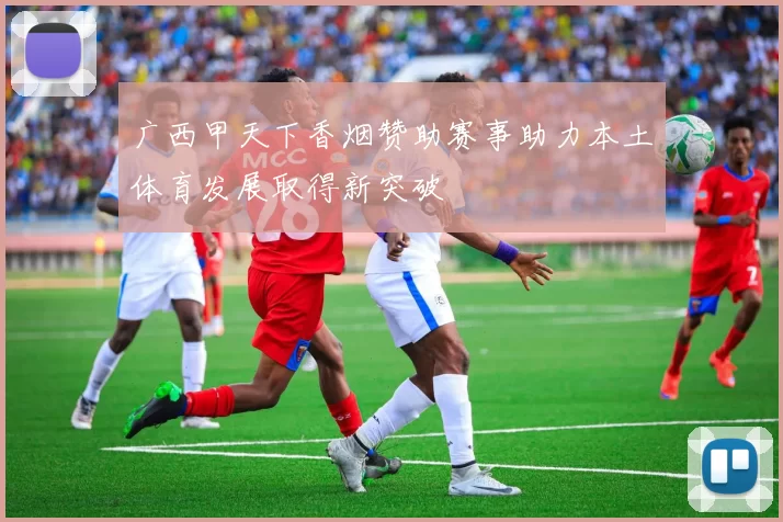 广西甲天下香烟赞助赛事助力本土体育发展取得新突破