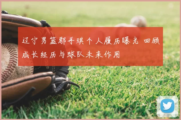 辽宁男篮鄢手琪个人履历曝光 回顾成长经历与球队未来作用