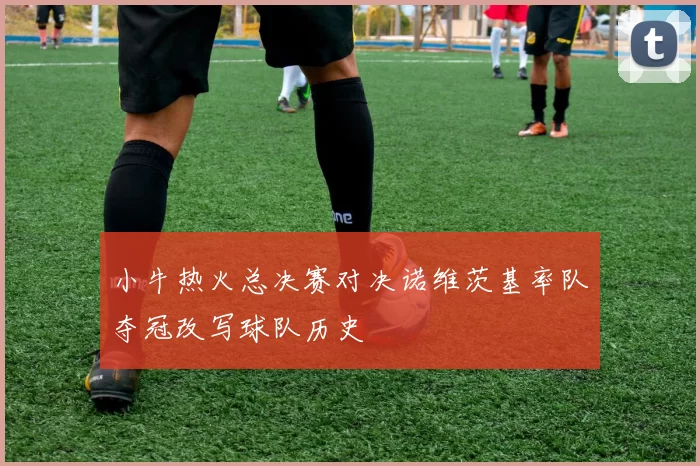小牛热火总决赛对决诺维茨基率队夺冠改写球队历史
