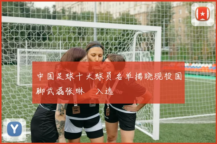 中国足球十大球员名单揭晓现役国脚武磊张琳芃入选