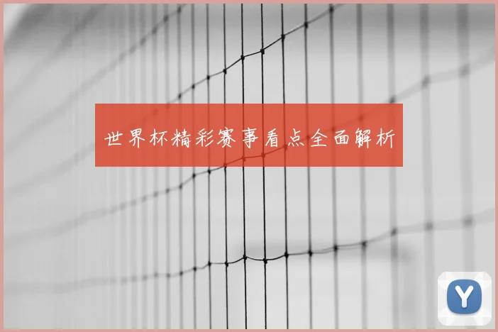 世界杯精彩赛事看点全面解析