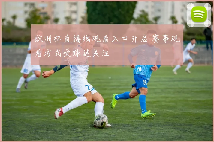 欧洲杯直播线观看入口开启 赛事观看方式受球迷关注